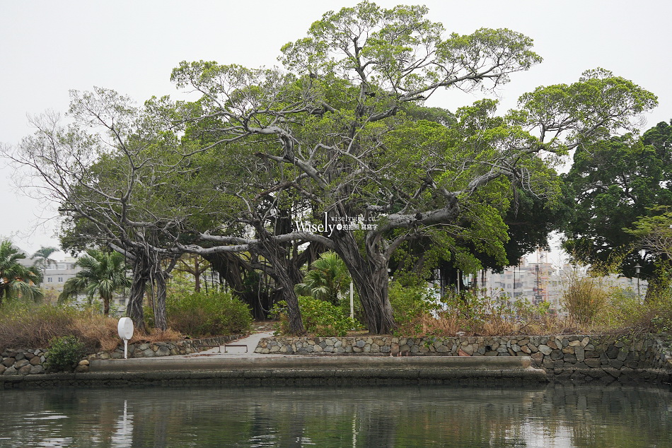 立驛國際安平遊港遊運河︱唯一合法載客，台南運河觀光船︱台南景點