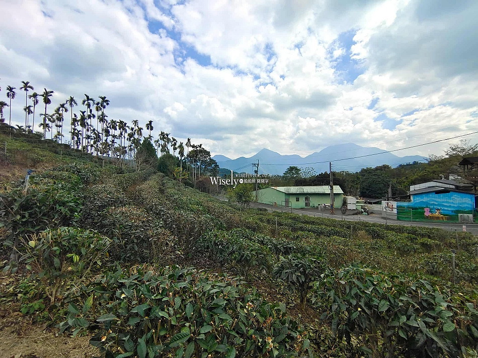 和菓森林紅茶莊園︱一頁茶傳習所下午茶︱百年傳承茶園DIY體驗︱南投魚池︱日月潭觀光工廠 和菓森林紅茶莊園︱一頁茶傳習所下午茶︱百年傳承茶園DIY體驗︱南投魚池︱日月潭觀光工廠