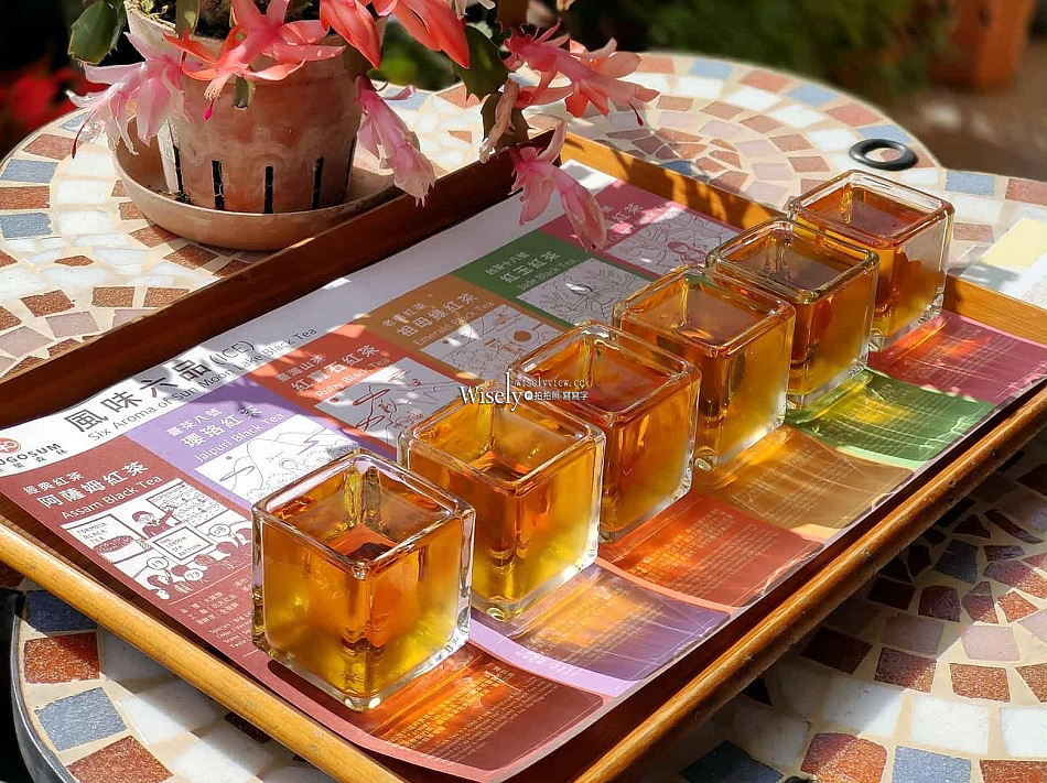 和菓森林紅茶莊園︱一頁茶傳習所下午茶︱百年傳承茶園DIY體驗︱南投魚池︱日月潭觀光工廠 和菓森林紅茶莊園︱一頁茶傳習所下午茶︱百年傳承茶園DIY體驗︱南投魚池︱日月潭觀光工廠
