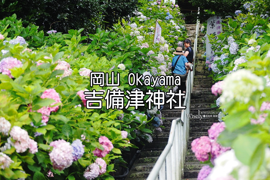 吉備津神社︱桃太郎起源︱木造迴廊繡球花︱國寶建築工藝︱日本岡山景點
