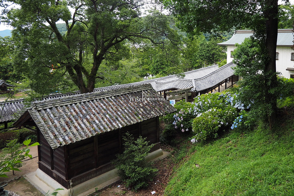 吉備津神社︱桃太郎起源︱木造迴廊繡球花︱國寶建築工藝︱日本岡山景點 吉備津神社︱桃太郎起源︱木造迴廊繡球花︱國寶建築工藝︱日本岡山景點