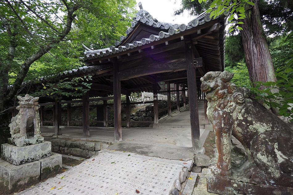 吉備津神社︱桃太郎起源︱木造迴廊繡球花︱國寶建築工藝︱日本岡山景點 吉備津神社︱桃太郎起源︱木造迴廊繡球花︱國寶建築工藝︱日本岡山景點