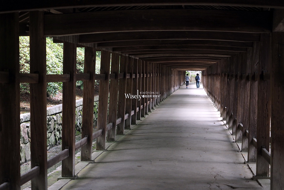吉備津神社︱桃太郎起源︱木造迴廊繡球花︱國寶建築工藝︱日本岡山景點 吉備津神社︱桃太郎起源︱木造迴廊繡球花︱國寶建築工藝︱日本岡山景點