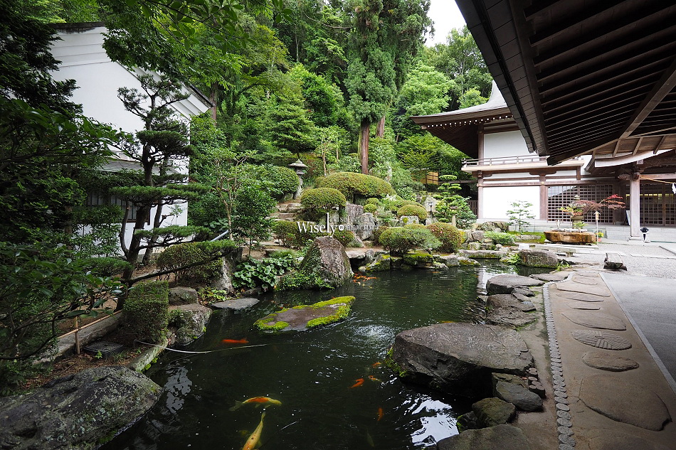 吉備津神社︱桃太郎起源︱木造迴廊繡球花︱國寶建築工藝︱日本岡山景點 吉備津神社︱桃太郎起源︱木造迴廊繡球花︱國寶建築工藝︱日本岡山景點