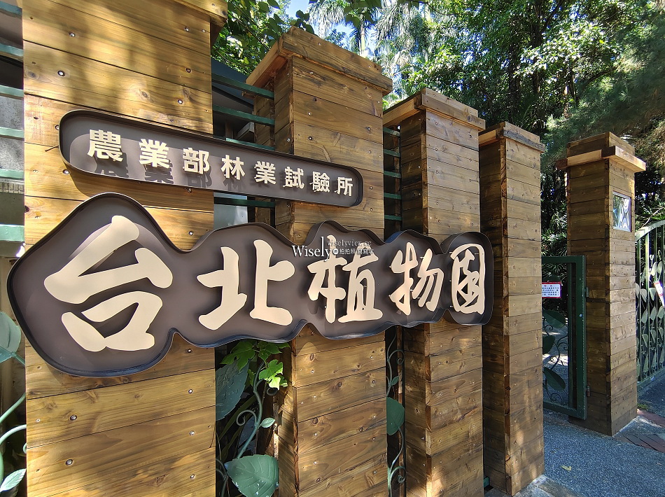 台北彼岸花景點︱台北植物園彼岸花︱拍攝地點︱交通停車︱攝影分享 台北彼岸花景點︱台北植物園彼岸花︱拍攝地點︱交通停車︱攝影分享