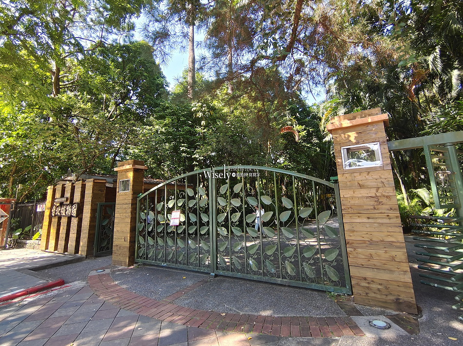 台北彼岸花景點︱台北植物園彼岸花︱拍攝地點︱交通停車︱攝影分享 台北彼岸花景點︱台北植物園彼岸花︱拍攝地點︱交通停車︱攝影分享