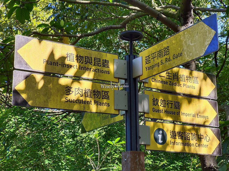 台北彼岸花景點︱台北植物園彼岸花︱拍攝地點︱交通停車︱攝影分享 台北彼岸花景點︱台北植物園彼岸花︱拍攝地點︱交通停車︱攝影分享