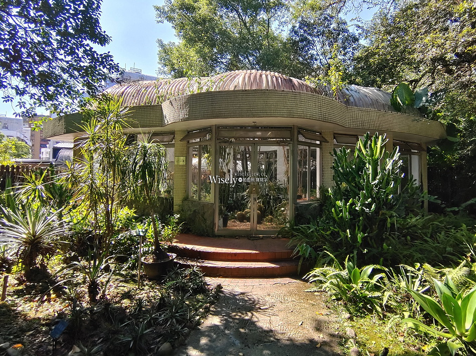 台北彼岸花景點︱台北植物園彼岸花︱拍攝地點︱交通停車︱攝影分享 台北彼岸花景點︱台北植物園彼岸花︱拍攝地點︱交通停車︱攝影分享