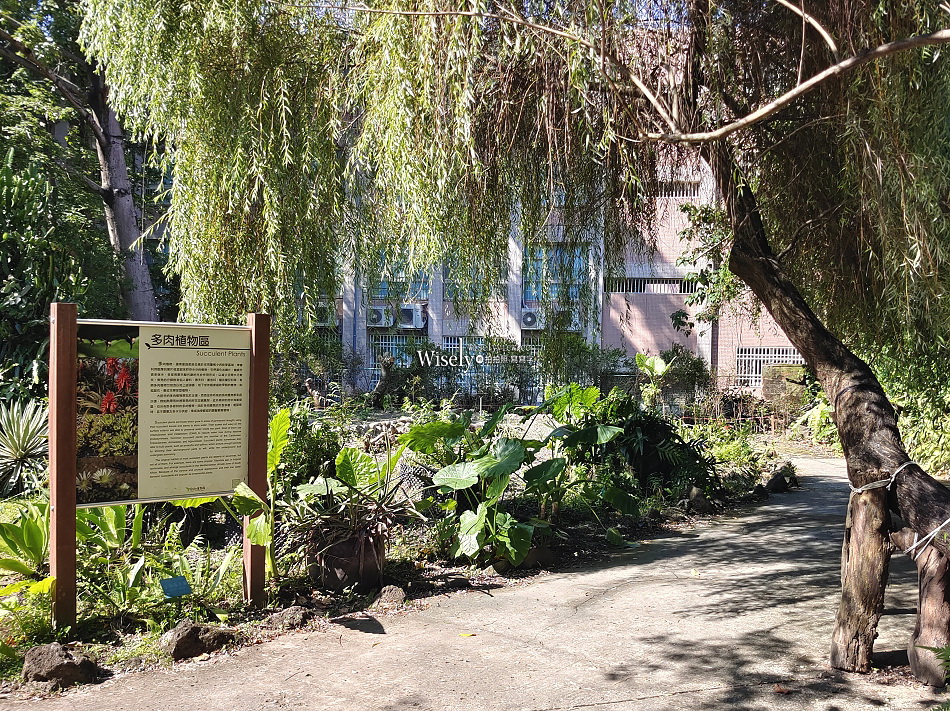 台北彼岸花景點︱台北植物園彼岸花︱拍攝地點︱交通停車︱攝影分享 台北彼岸花景點︱台北植物園彼岸花︱拍攝地點︱交通停車︱攝影分享