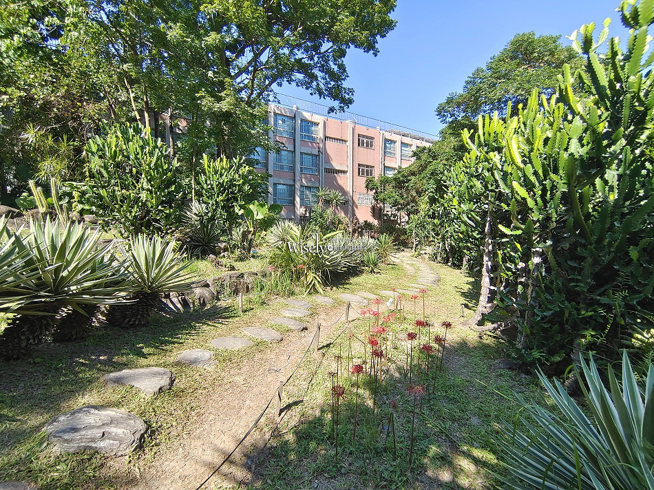 台北彼岸花景點︱台北植物園彼岸花︱拍攝地點︱交通停車︱攝影分享 台北彼岸花景點︱台北植物園彼岸花︱拍攝地點︱交通停車︱攝影分享