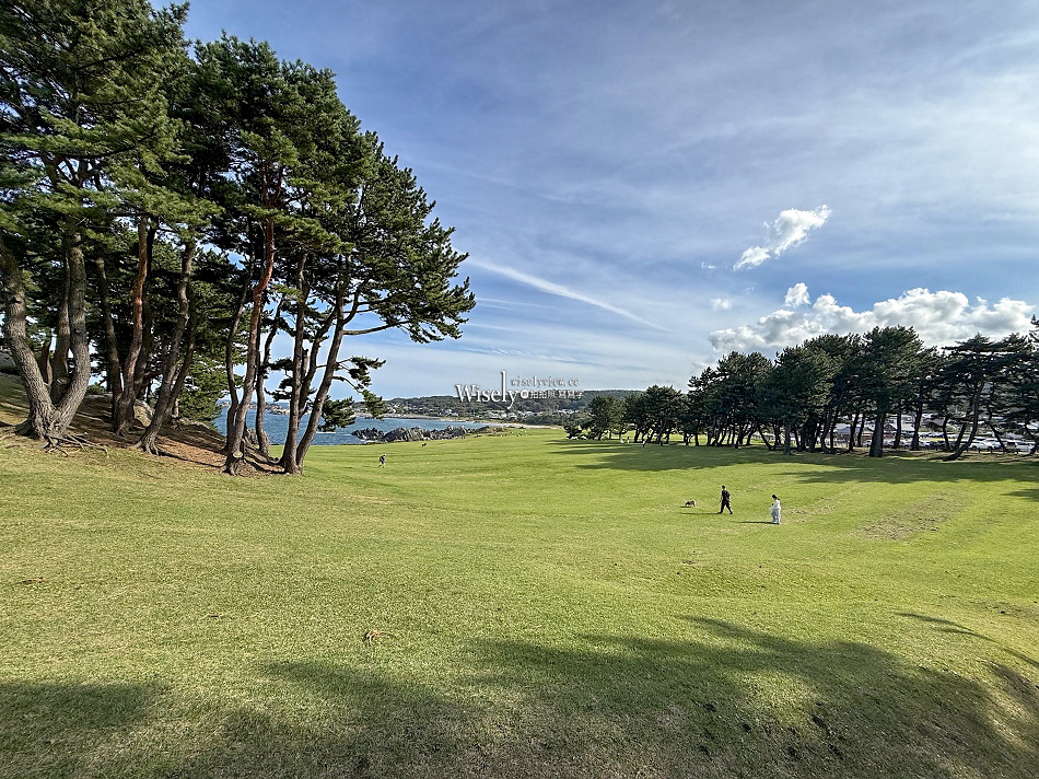 種差海岸.葦毛崎展望台︱青森八戶秋冬絕美海景︱三陸復興國立公園 種差海岸.葦毛崎展望台︱青森八戶秋冬絕美海景︱三陸復興國立公園