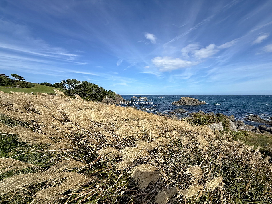 種差海岸.葦毛崎展望台︱青森八戶秋冬絕美海景︱三陸復興國立公園 種差海岸.葦毛崎展望台︱青森八戶秋冬絕美海景︱三陸復興國立公園