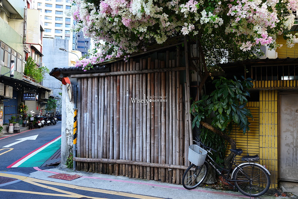 台北景點︱浦城街4巷九重葛︱花開日期︱古亭師大夜市︱交通停車