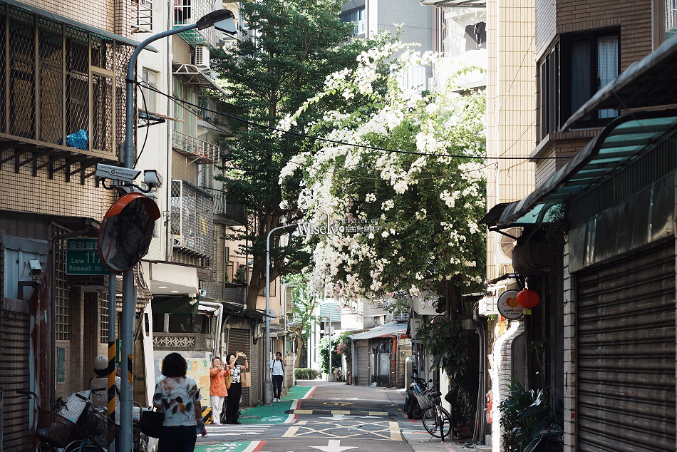 台北景點︱浦城街4巷九重葛︱花開日期︱古亭師大夜市︱交通停車