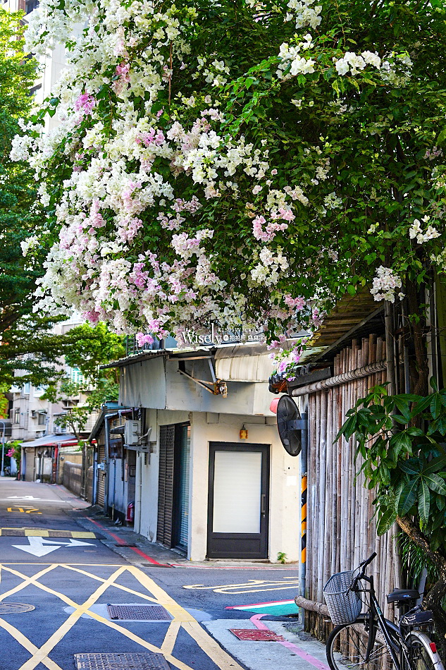 台北景點︱浦城街4巷九重葛︱花開日期︱古亭師大夜市︱交通停車